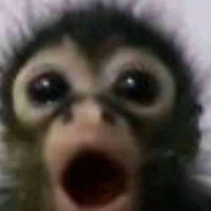 Những wow meme hài hước nhất khiến bạn cười xỉu up xỉu down