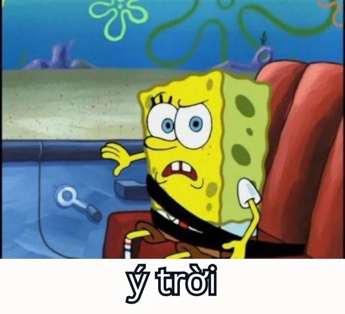 Tổng hợp 287+ ý trời meme, hài hước gây bão mạng