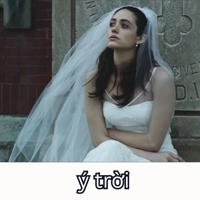 Tổng hợp 287+ ý trời meme, hài hước gây bão mạng