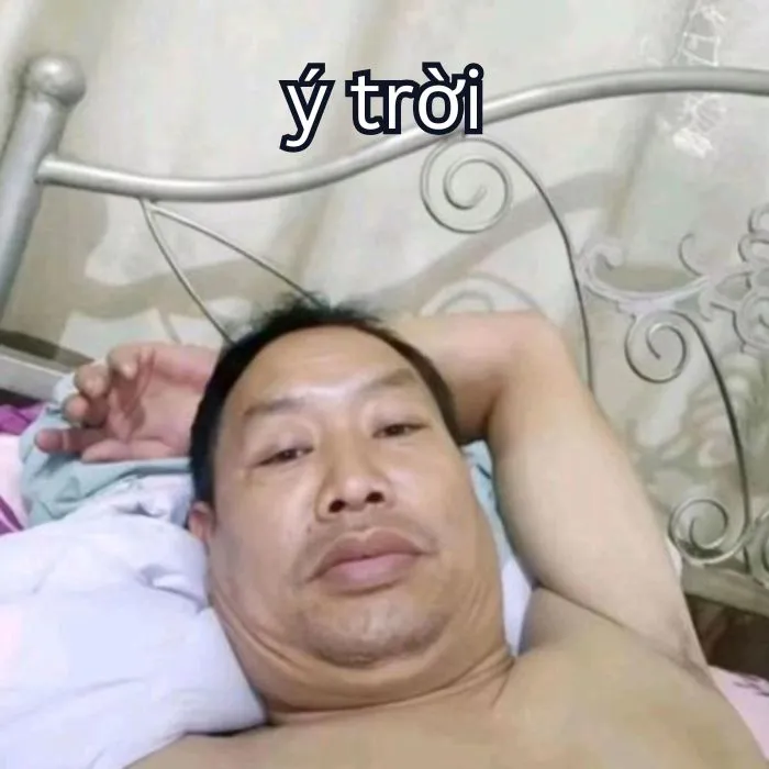 Tổng hợp 287+ ý trời meme, hài hước gây bão mạng