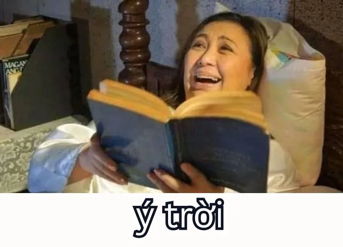 Tổng hợp 287+ ý trời meme, hài hước gây bão mạng