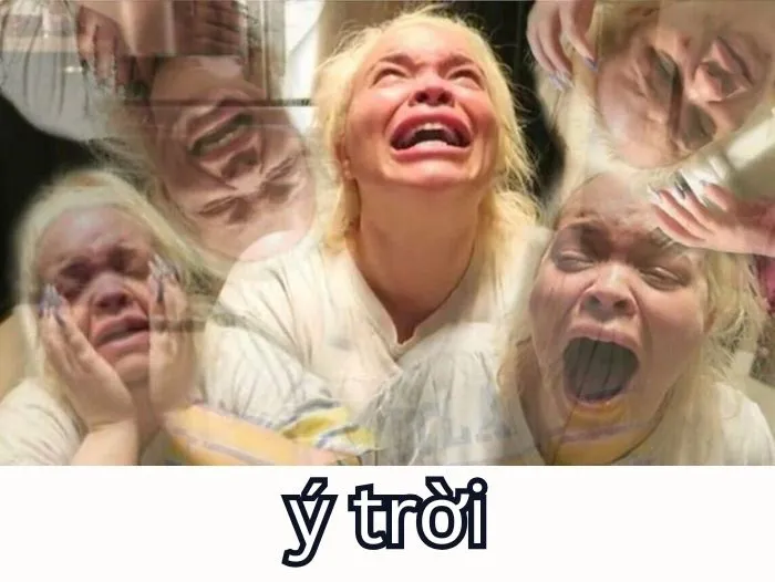 Tổng hợp 287+ ý trời meme, hài hước gây bão mạng