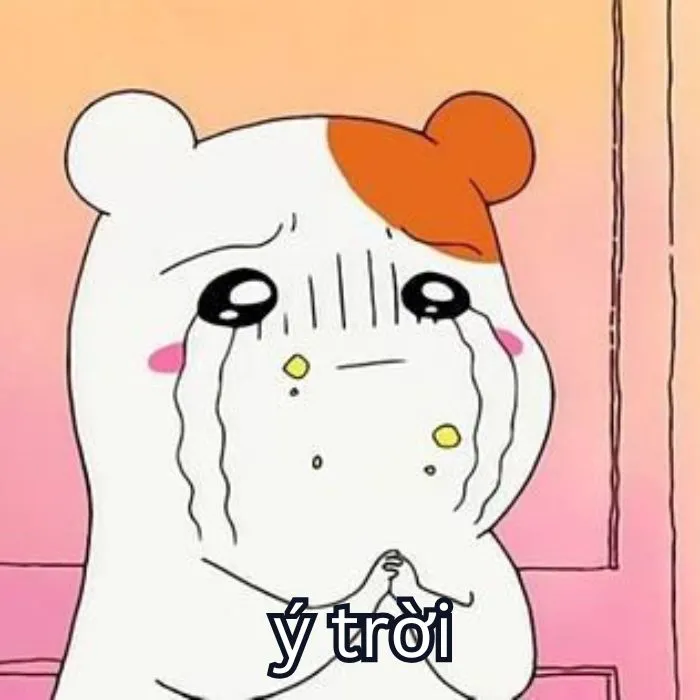 Tổng hợp 287+ ý trời meme, hài hước gây bão mạng