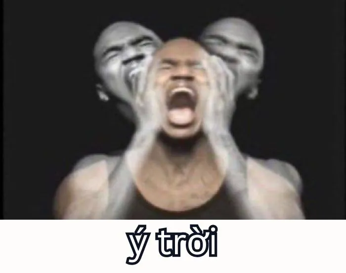 Tổng hợp 287+ ý trời meme, hài hước gây bão mạng