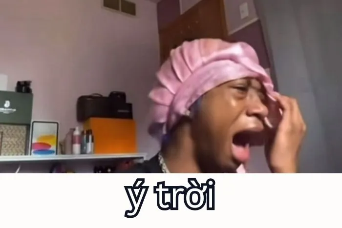 Tổng hợp 287+ ý trời meme, hài hước gây bão mạng
