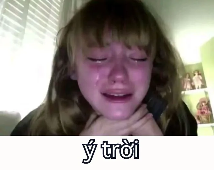 Tổng hợp 287+ ý trời meme, hài hước gây bão mạng