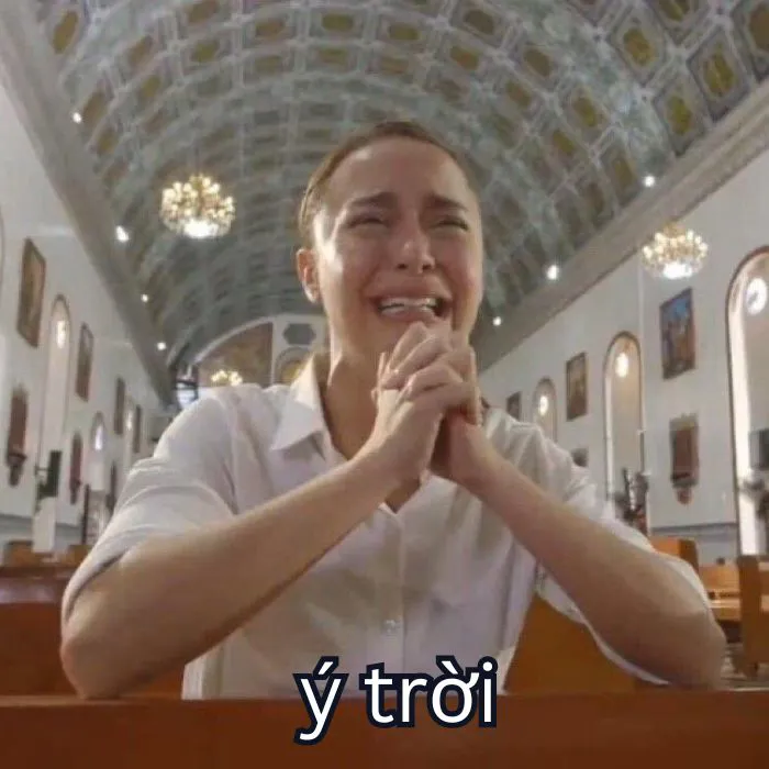 Tổng hợp 287+ ý trời meme, hài hước gây bão mạng