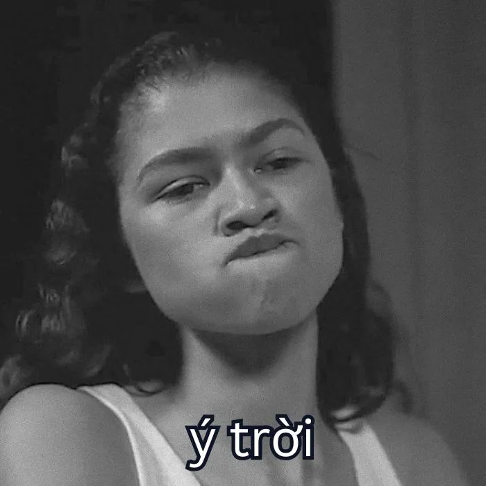 Tổng hợp 287+ ý trời meme, hài hước gây bão mạng